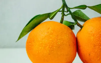 Best Vitamins for Clear Skin That You Need in Your Skincare Routine